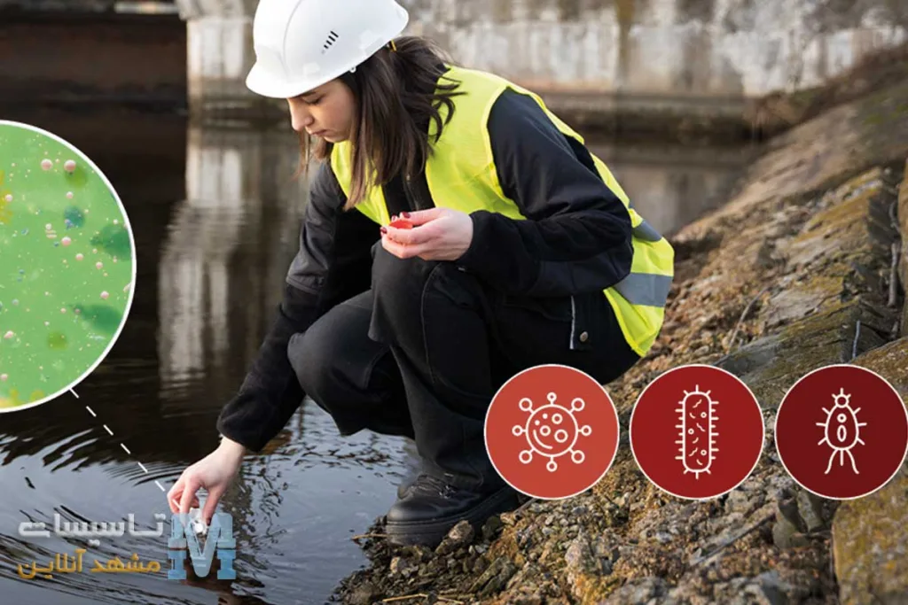 بیماری های سیستم فاضلاب