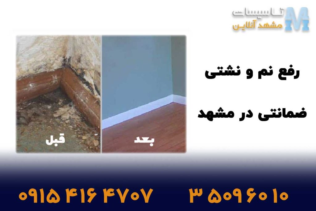 رفع نم زدگی در کم تر از ۳۰ دقیقه؛ فوری و بدون تخریب 3 رفع نم بدون تخریب در مشهد